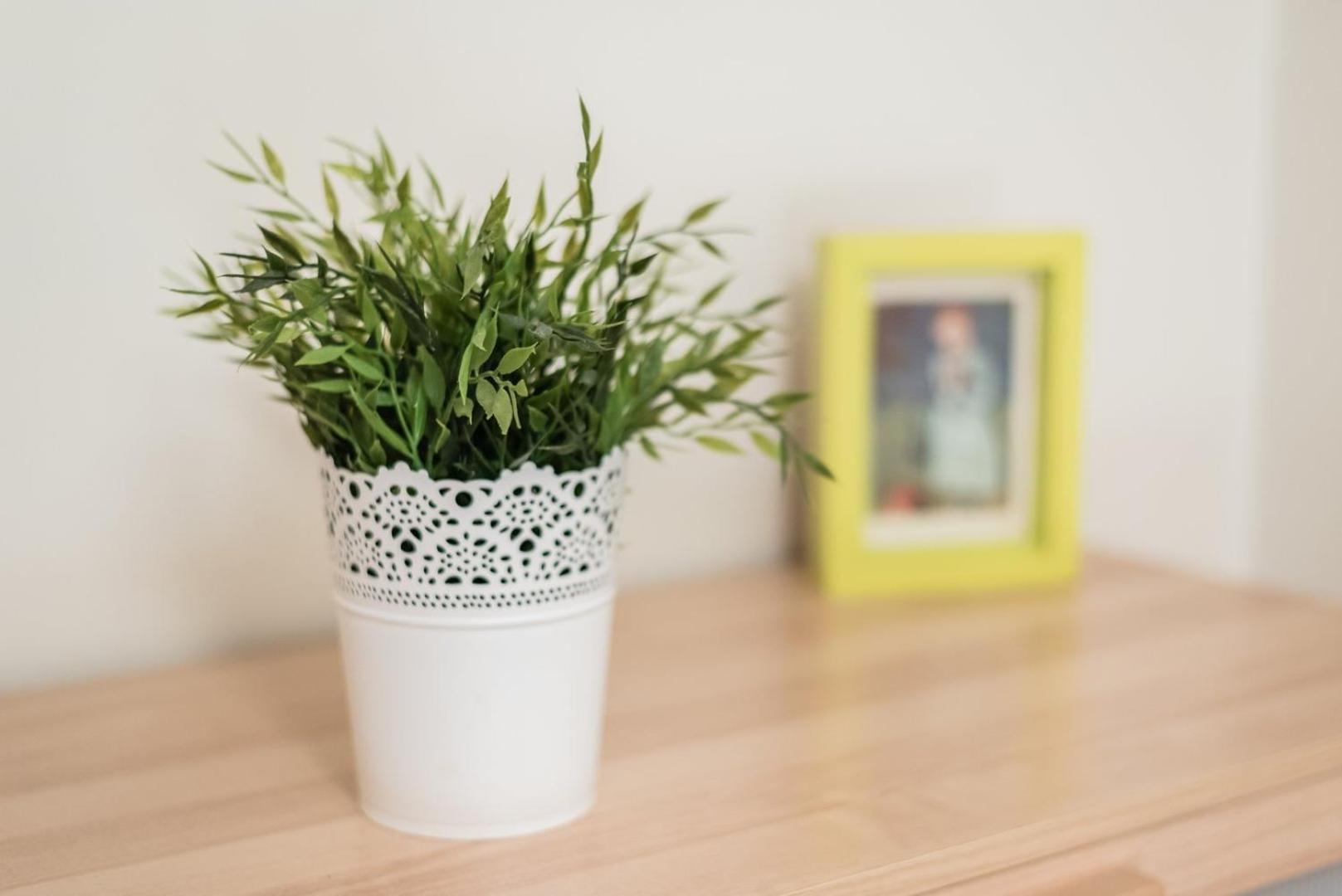Guestready - Amaryllis Apartment Porto Eksteriør bilde